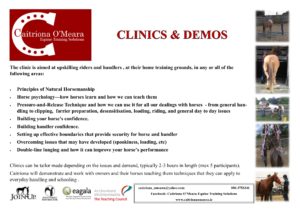 clinic-and-demo-flier